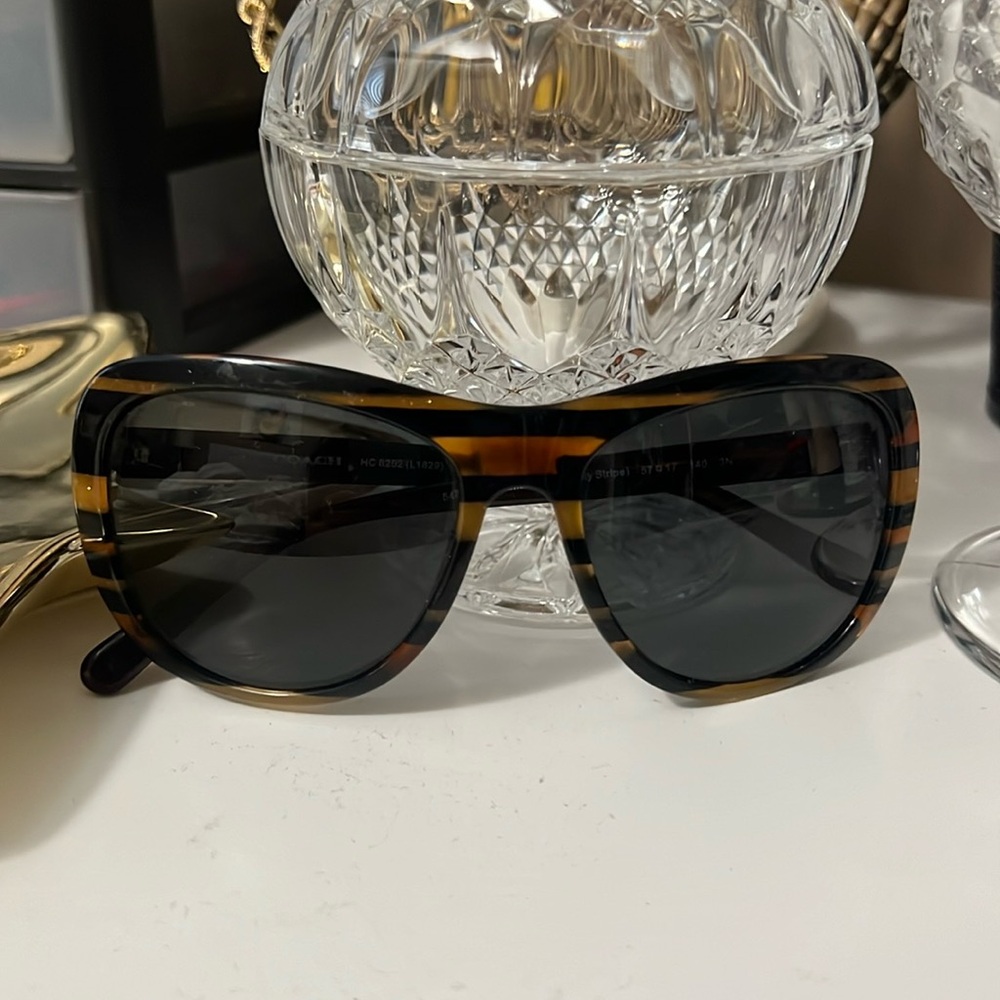 Coach HC8202 L1629 Sun Glass